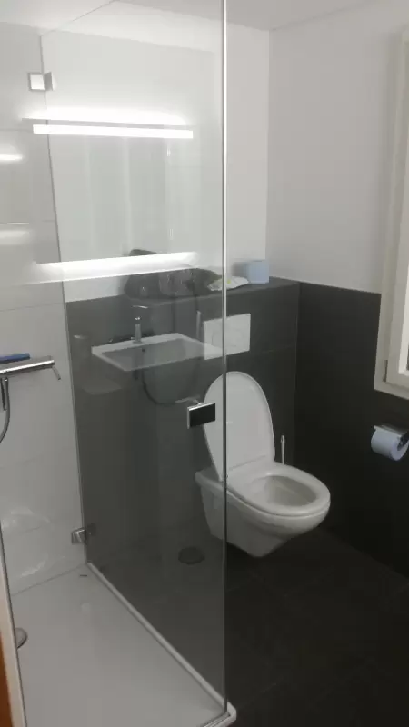 Die stilvolle Dusche mit integriertem WC ist eine perfekte Ergänzung zur charmanten Ferienwohnung. Das Bild zeigt den Ausschnitt vom WC und der Dusche mit Glaswand.