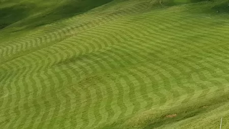Die Region rund um den Tungelpass beherbergt eine Alpkäserei saftige Wiesen, Simmentaler Kühe. Das Bild zeigt eine saftige Wiese welche in einem Reliev gehmet wurde.
