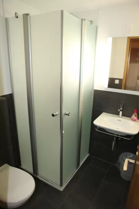 Die Dusche mit WC ist schlicht und modern ausgestattet und bietet alle Annehmlichkeiten. Das Bild zeigt Dusche mit Waschtisch.