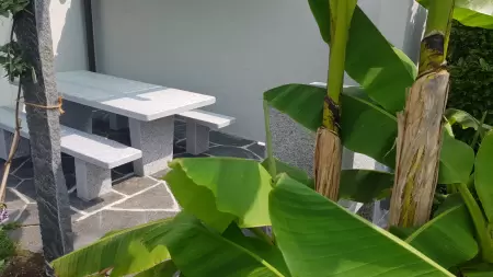 Vom erhöhten Sitzplatz aus, in den Garten und über den Lago Maggiore schweifen geschützt durch die Sonnenstrahlen durch grosse Bananenblätter und und die jungen noch wachsende Glizelien als Pergola