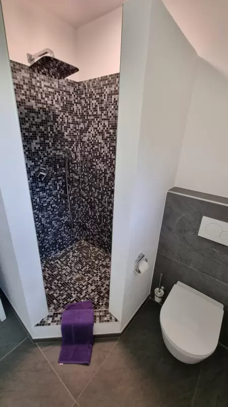 Die Dusche ist klar und strukturiert gestaltet und ihre Mosaiksteine als Auskleidung im Duschbereich verleihen ihr einen klaren Charakter. das Bild zeigt die Dusche mit den Mosaiksteinen