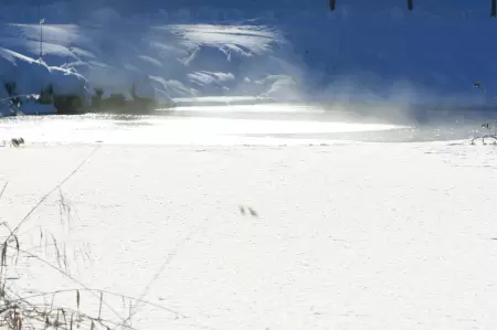 Das Lenkerseeli an der Lenk sieht im tiefen Winter wie in einem Wintermärchen aus, mit seinen Minustemperaturen. Das Bild zeigt die Ansicht über das Lenkerseeli